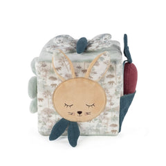 Cubo di attivitá Verde