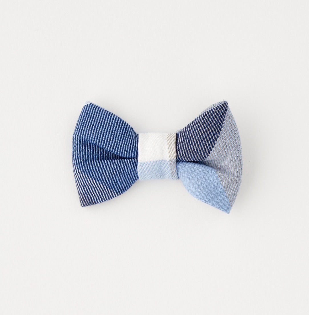 Papillon H311